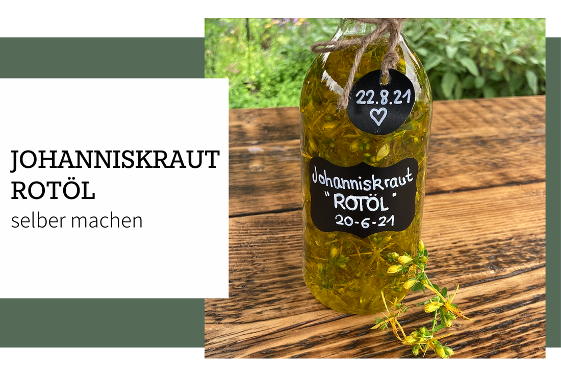 Johanniskraut-Rotöl selber machen