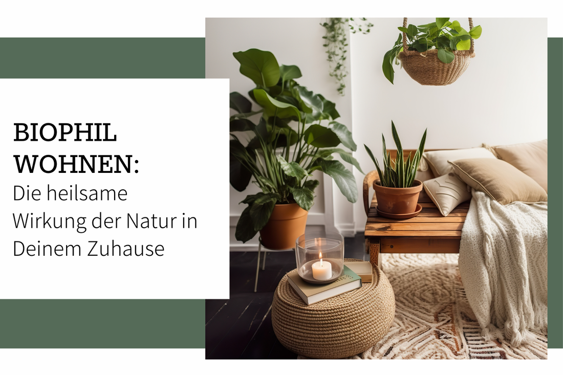 Biophil Wohnen: Die Heilsame Wirkung der Natur in Deinem Zuhause