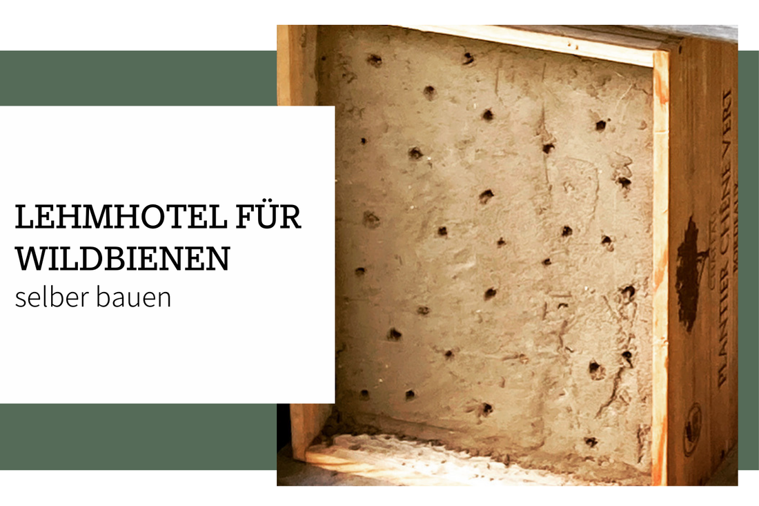 Ein Lehm-Hotel für Wildbienen bauen