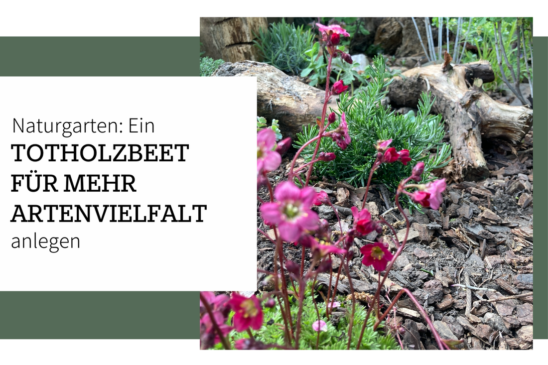 Ein Totholz-Beet anlegen für mehr Artenvielfalt im Naturgarten