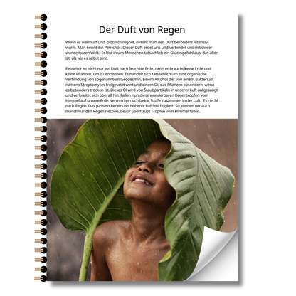 eBook Staunen und Erdung - Dein Weg zurück zur Natur und dir selbst.